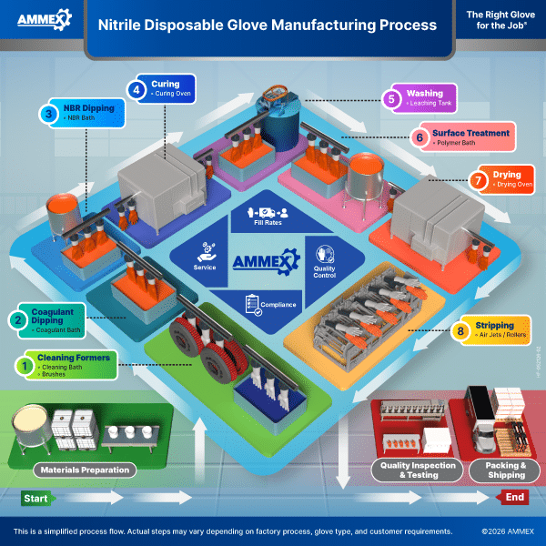 Glove Manufacturing Process